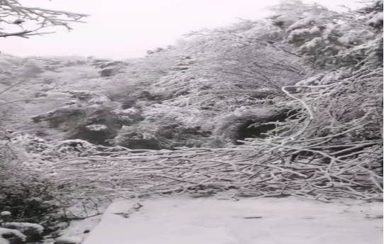 战暴雪、保供电！星空买球·(中国)官方网站鸟儿巢星空买球·(中国)官方网站
应对极端天气紧急抢修失电故障