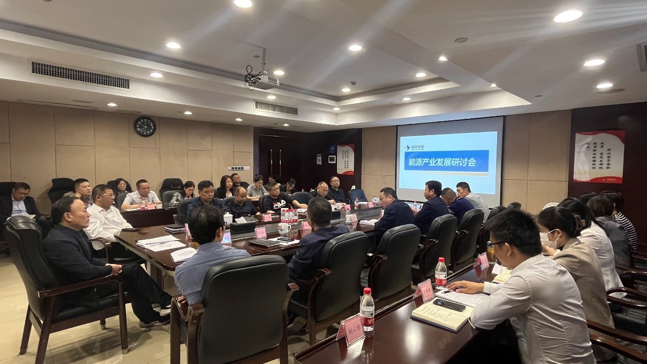 星空买球·(中国)官方网站召开能源产业发展研讨会