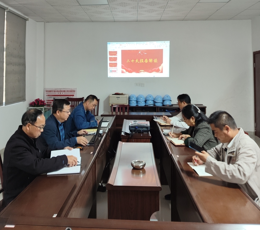 鸟儿巢星空买球·(中国)官方网站
党支部开展“一课一片一实践”主题党日活动